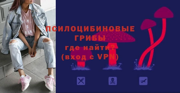apvp Армянск