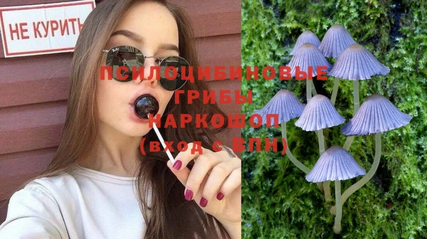 Альфа ПВП Арсеньев