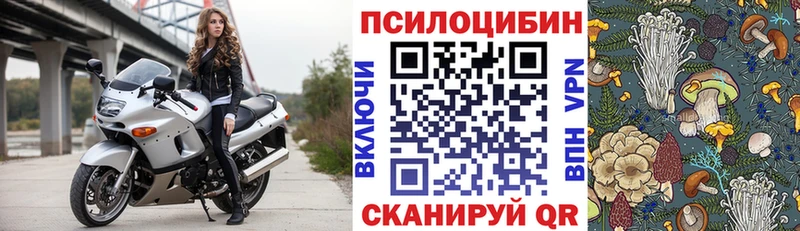 Псилоцибиновые грибы мухоморы  продажа наркотиков  Обоянь 